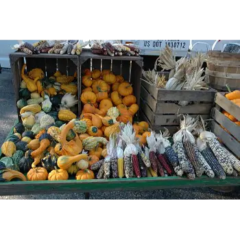Fresh Pumpkin